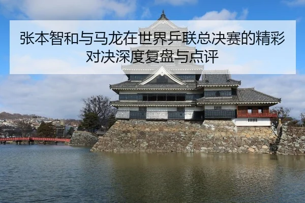 张本智和与马龙在世界乒联总决赛的精彩对决深度复盘与点评